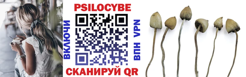 Галлюциногенные грибы Magic Shrooms  Воронеж 